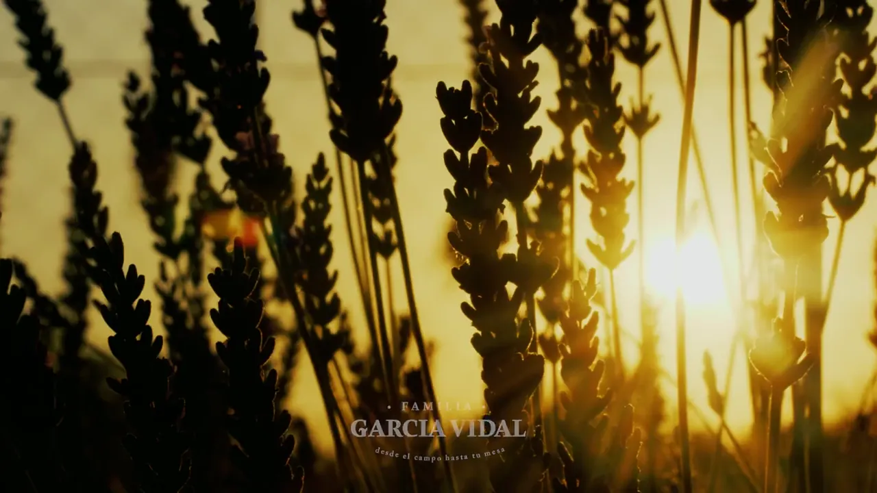 Familia García Vidal, desde el campo hasta tu mesa